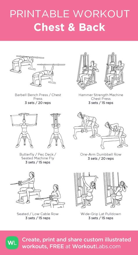 Chest And Back Workout, Chest Workout Women, Workout Chest, Back Exercise, Workout Labs, Back Workout Women, Fitness Studio Training, Workout Gym Routine, Printable Workout