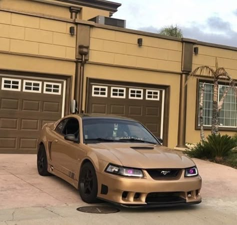 Newedge Mustang, 2001 Mustang Gt, Mustang Rims, Ford Mustang Saleen, New Edge Mustang, Mustang Interior, 2000 Ford Mustang, 2001 Ford Mustang, Mustang Car