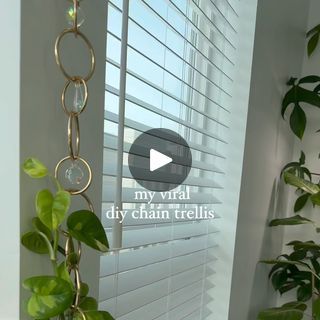 332K views · 84K reactions | You all went absolutely FERAL for this chain trellis & I’m obsessed !! 🫶✨💚

Here is a little more detailed look at how I got it set up. Any questions? Let me know 

Comment “CHAIN” & I’ll send you the supply list but be warned - it’s been selling out quick 🫶 | Mariah Harman | Houseplant Tips | Oliver Heldens · Mas Que Nada Diy Chain Trellis, Chain Trellis For Plants, Chain Trellis, Houseplant Tips, Indoor Vines, Vine Trellis, Trellis Ideas, Garden Magic, Diy Chain