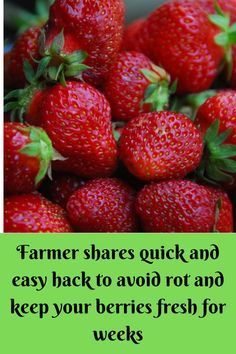 Fruit Organization, How To Wash Strawberries, How To Clean Strawberries, Storage Solutions Kitchen, Food Shelf Life, Fruit And Vegetable Wash, Amazing Food Hacks, Storing Fruit, Strawberry Dessert Recipes