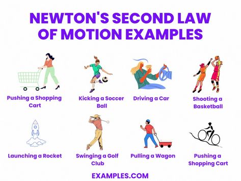 Newton Laws Of Motion Projects, Newton's Second Law Of Motion, Newton's Second Law, Newton's Laws Of Motion, Newton's Laws, Newtons Laws Of Motion, Laws Of Motion, Newtons Laws, Printable Worksheets