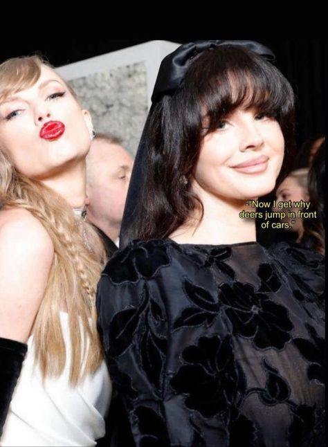 Estilo Taylor Swift, Taylor Swift Hair, Lana Del Ray, Taylor Swift (lyrics), Live Taylor, Taylor Swift Quotes, Taylor Swift Pictures, Bruno Mars, Girl Blog