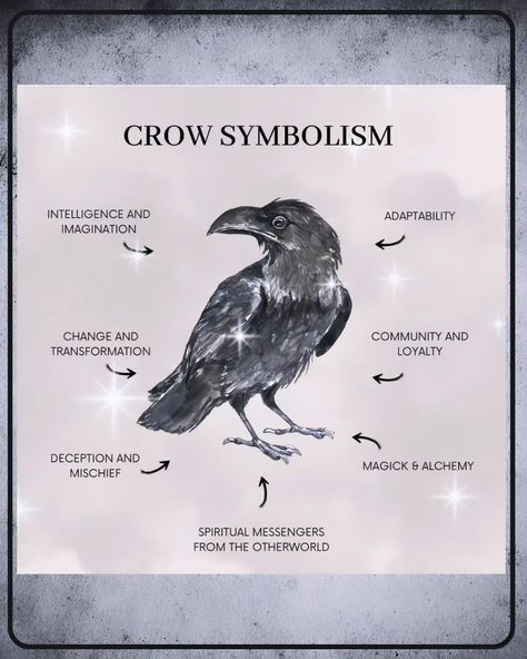 Crow symbolism by @teaandrosemary **The Symbolism of Crows 🐦✨** Crows are often seen as symbols of intelligence, adaptability, and transformation. In many cultures, they represent mystery and magic, serving as messengers between worlds. Their presence can signify change or the need for introspection. 🌌 Know someone who loves crows? Tag them! 🖤✨ #wiccansofinstagram #witchlife #witchesofinstagram #witch #witchcraft #wicca #wiccan #pagan #spiritual #spiritualawakening #Spirituality #witches... Number Of Crows Meaning, Crow Spiritual Meaning, Crow Symbolism, Crow Magic, Crow Meaning, Spiritual Meaning, Crows, Spiritual Awakening, Meant To Be