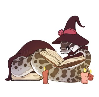 A Cat, Every Day, Reading, Halloween