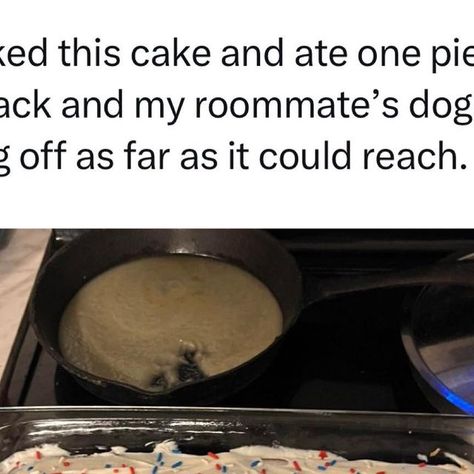 College Confessions on Instagram: "Uh oh #baking #cake #explore #college #frat #icing #funnymemes #roommate" College Confessions, Uh Oh, Baking Cake, October 10, Funny Memes, Humor, Baking, Cake, On Instagram