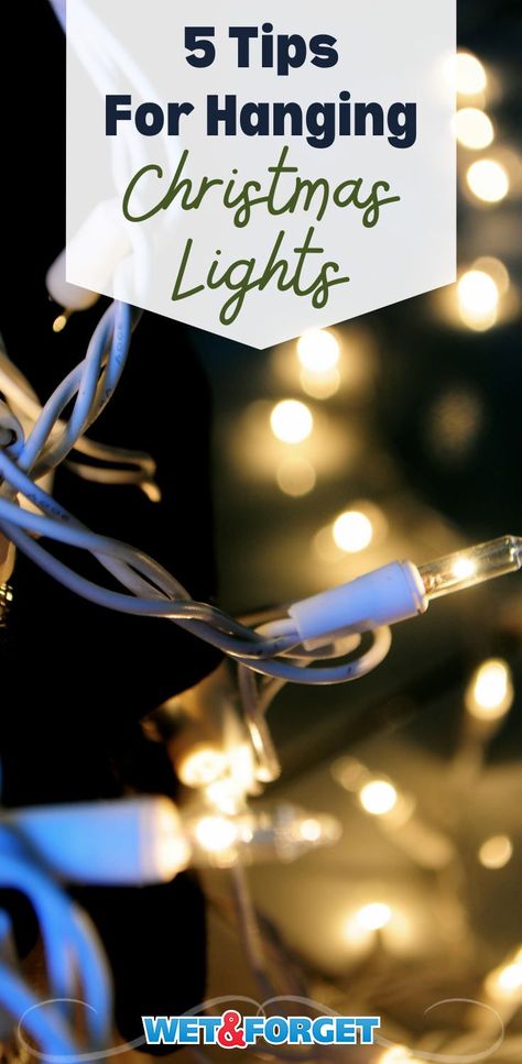 Easy Outside Christmas Lights, How To Hang Christmas Lights On Tree, How To Hang Christmas Lights, How To Hang Outdoor Christmas Lights On House, How To Hang Christmas Lights On House, Christmas Net Lights Ideas, Hanging Christmas Lights Indoors, Man Hanging From Roof Christmas Decor, Hanging Christmas Lights Outdoor