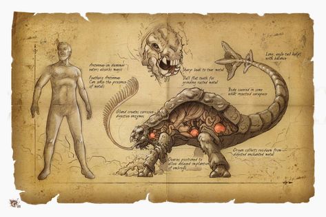 Rust Monster Magical Creatures Mythology, Mystical Creatures Mythology, Fantasy Creatures Mythology, Harry Potter Creatures, Creaturi Mitice, Sejarah Kuno, Folklore Art, Arte Occulta, Myths & Monsters