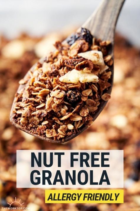 Nut Free Granola Recipe, Nut Granola Recipe, Granola Easy, Fruity Breakfast, Nut Free Granola, Easy Granola Recipe, Nut Allergy, Nut Granola, Granola Recipe Homemade