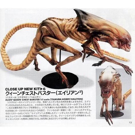 Xenomorph Types, Chest Burster, Alien Queen, Home Activities, Jurassic Park, Aliens, Model Kit, Science Fiction, Lion Sculpture