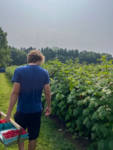 Raspberry picking | summer aesthetic | fun summer activity | outdoors | aesthetic nature | outdoors date ideas Outdoorsy Date Ideas, Strawberry Picking Date, Granola Relationship Aesthetic, Flower Picking Date, Fun Dates Aesthetic, Summer Dates Aesthetic, Cottagecore Couple Aesthetic, Cottagecore Boyfriend, Cottagecore Boy Aesthetic