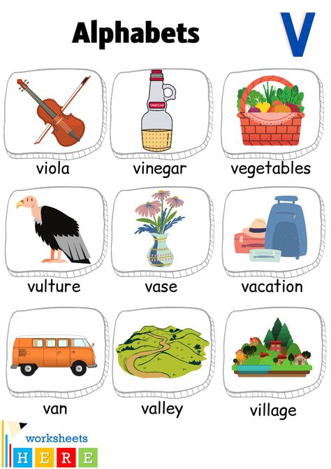 Alphabet V Words with Pictures, Letter V Vocabulary with Pictures - WorksheetsHere.com V Words For Kids, V Words, Words List, Picture Table, Abc Book, Picture Letters, Vans Kids, Alphabet Preschool, Letter V