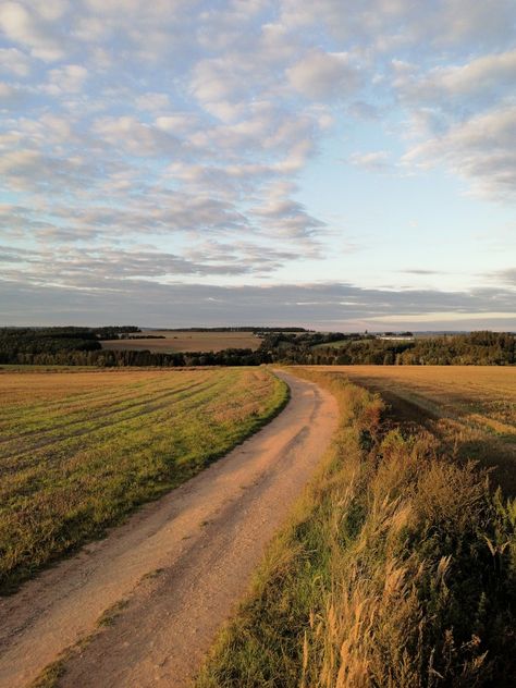 Country Field Aesthetic, Pasture Aesthetic, Grassy Field Aesthetic, Country Road Aesthetic, Sunset Field Aesthetic, Country Roads Aesthetic, Farmland Landscape, Field Aesthetic, Sunset Field