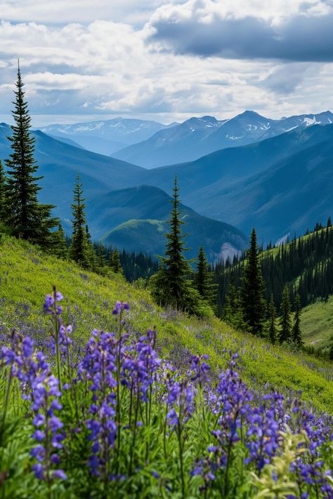 Stroll through a lush meadow, alive with purple wildflowers - let nature's embrace soothe your soul. Save this serene escape, follow TheTreeTee for more wonders. 🌸🍃#NatureBeauty #ExploreWithUs #TheTreeTee #PurpleMeadow #PeacefulPlaces #Aiimage Forest Meadow Aesthetic, Meadow Aesthetic, Purple Wildflowers, Nature Vibes, Mountain Landscapes, Outdoor Aesthetic, Wildflower Meadow, Forest Photos, Nature Wallpapers