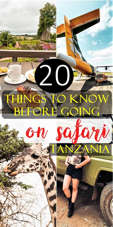 safari in Tanzania | how many days you need for safari | how much does safari cost | best safari parks in Tanzania | perfect safari itinerary in Tanzania | what to pack for safari | must-see safari places in Tanzania | accommodation on safari | food in safari | tanzania safari | serengeti safari | ngorongoro crater | arusha | tarangire safari | safari outfit What To Pack For Tanzania Safari, Backpacking Africa, Forest Explorer, Travel Tanzania, Serengeti Safari, Safari Food, Africa Itinerary, Safari Trip, Safari Photography