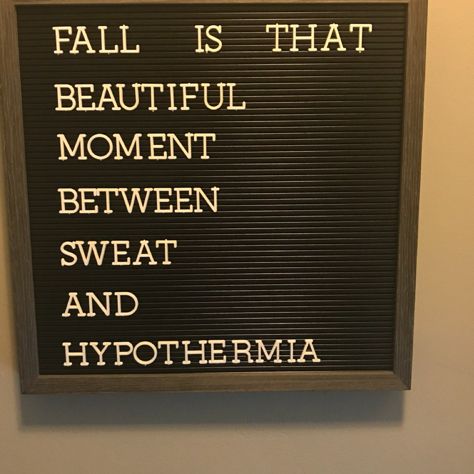 Fall Humor Season, October Letterboard, October Letterboard Quotes, Fall Letterboard Ideas, Fall Letterboard Quotes Funny, September Letterboard Quotes, Funny Fall Signs, Fall Letter Board Ideas, Fall Letterboard Quotes