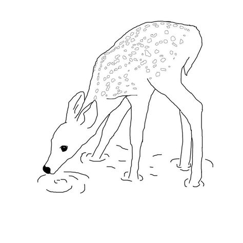 deer drawing - Google Search Deer Outline, Kissing Drawing, Deer Sketch, Bow Drawing, Deer Drawing, Water Drawing, Poster Drawing, Basic Drawing, Cute Doodles Drawings