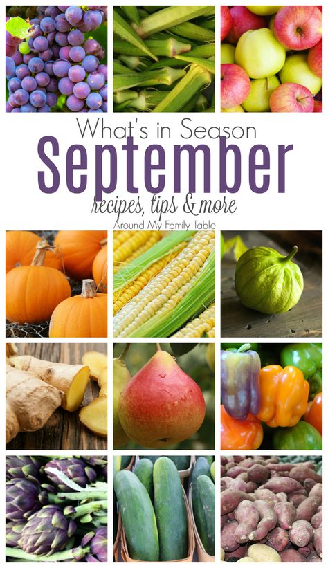 September - What's In Season Guide - Around My Family Table Fall Gardening Ideas, Seasons Chart, Seasonal Produce Guide, Seasonal Veggies, Ideas Garden Design, Seasonal Eating, Fall Gardening, Seasonal Fruits, Food Gardening