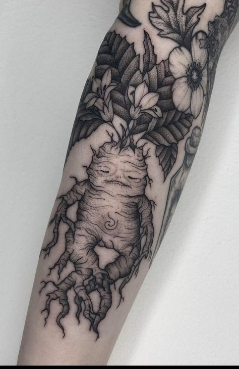 Mandrake | tattoo ideas by  Jacoby Meyer Green Witch Tattoo Sleeve, Goblincore Tattoo Sleeve, Dark Fae Tattoos, Mandrake Tattoo Harry Potter, Forest Dragon Tattoo, Dark Academia Tattoo Sleeve, Witchy Botanical Tattoo, Creepy Nature Tattoo, Harry Potter Tattoos For Women