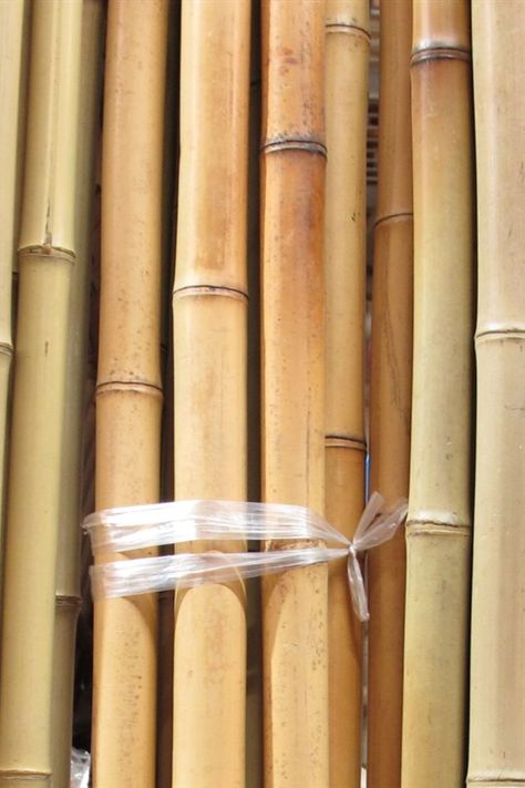 Bamboo Poles with the talented hands and creativity of Vietnamese people, bamboo products become a rich cultural product to export. Bamboo poles are straight, flexible and hard to decay. They can be used for garden (support plant growing), decoration and hotel. Contact To Seller: Ms. Snowie WhatsApp : +84 865783041 Mail: sale01@eco2go.vn Bamboo Products, Bamboo Poles, Plant Growing, Vietnam, Eco Friendly, Plants, Design