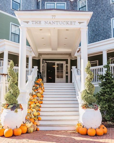 The Nantucket Hotel & Resort on Instagram: “Having a 10/10 autumn out here on the island! 📸: @emilyelisabethphotography  #Nantucketing #ACK #Nantucket #NewEngland #igersNewEngland” Nantucket Fall, Nantucket Hotels, Marthas Vineyard, Hotel Resort, Island Girl, Nov 6, Nantucket, Cape Cod, New England