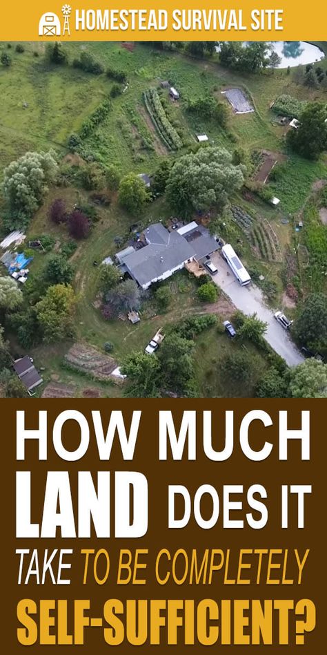 Homestead Layout, Self Sufficient Homestead, Off Grid Survival, Homesteading Diy, Homestead Farm, Farm Layout, Homesteading Skills, Self Sufficient, Survival Gardening