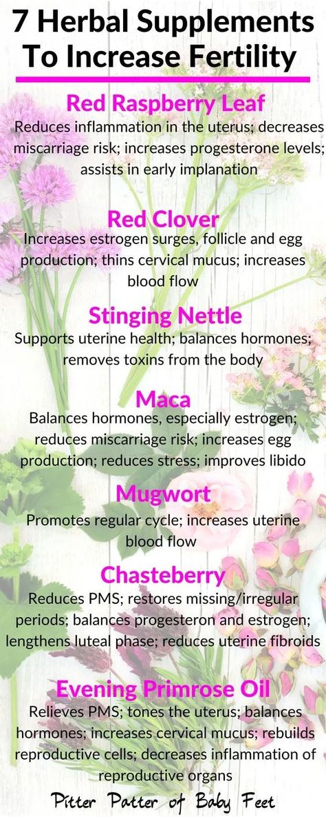 Herbs For Fertility, Increase Progesterone, Fertility Vitamins, Trouble Getting Pregnant, Fertility Nutrition, Increase Fertility, Boost Fertility, Fertility Supplements, Womb Healing