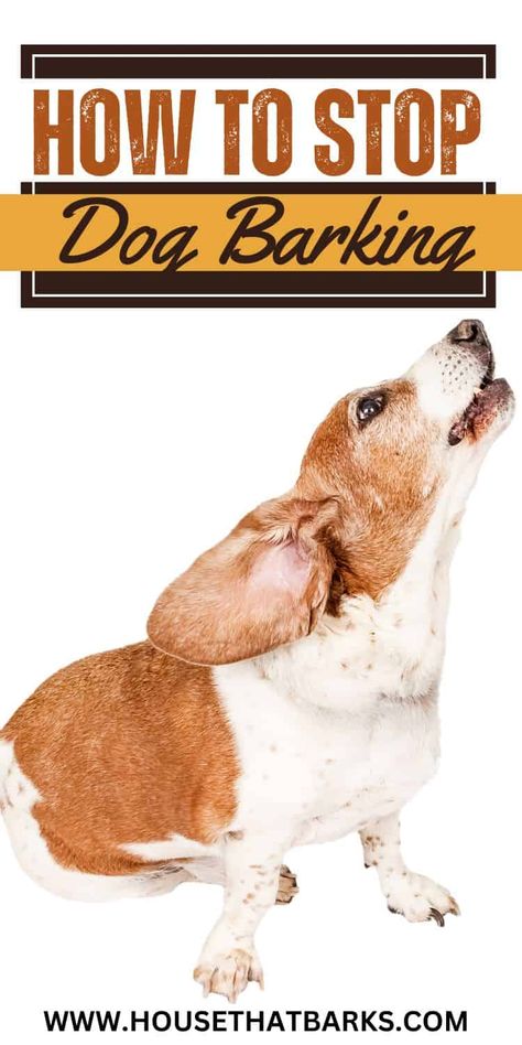 Struggling with a barking dog? Check out our tips on how to stop dog barking. Whether it's for training or peace and quiet at home, this blog post has got you covered. #dogbarking, #stopdogbarking, #dogtraining, #dogs Frozen Dog Treats, Stop Dog Barking, Barking Dog, Frozen Dog, Love My Sister, Dog Training Techniques, Mini Goldendoodle, Peace And Quiet, Dog Safety