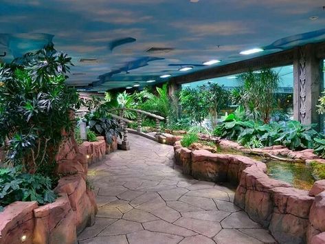 Reptile House Ideas, Reptile House Zoos, Planet Zoo Exhibit, Planet Zoo Entrance Ideas, Zoo Exhibit Design, Planet Zoo Habitat Ideas, Planet Zoo Inspiration, Zoo Building, Zoo Habitats