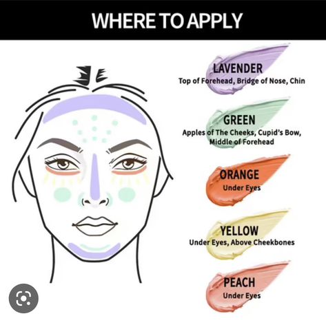 Colour Correcting Makeup, Yellow Concealer, Makeup Charts, Makeup Order, Makeup Brushes Guide, Beginners Eye Makeup, Learn Makeup, Simple Makeup Tips, Makeup Secret