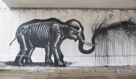 roa elephant drips black belgium Type Illustration, Chalk Art, Street Artists, Art Sculpture, Banksy, Graffiti Art, Urban Art, Doodle Art, Fun Stuff