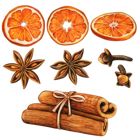 Premium Vector | Watercolor high quality winter spices and orange slices Orange Clove, Spice Set, Recipes Book, Christmas Spices, Desain Editorial, Watercolor Christmas, Christmas Illustration, Christmas Watercolor, Food Illustrations