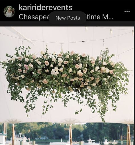 Florist, Wedding Reception, Tent, Our Wedding, Wedding Flowers, Mood Board, Dream Wedding, Weddings, Boutique