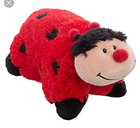 Ladybug Pillow Pet, Ladybug Plush, 2000 Toys, Ladybug Pillow, 2000s Memories, 2000s Toys, Childhood Aesthetic, Nostalgia 2000s, Pillow Pets