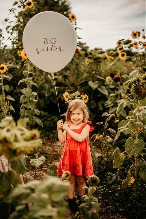 Big Sister Balloon Announcement, Spring Baby Announcement Sibling, Spring Pregnancy Announcement Baby 2, Big Sister Gender Reveal Ideas, Fall Big Sister Announcement, Pregnancy Announcement With Toddler Girl, Second Kid Pregnancy Announcement, Big Sister Photoshoot Announcement, Fall Pregnancy Announcement With Sibling