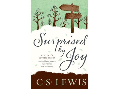 Cs Lewis Books, Christian Book Recommendations, Faith Based Books, Book Advertising, Recommended Books To Read, C S Lewis, Cs Lewis, Religious Books, Christian Books