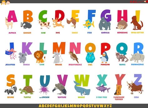 Cartoon Alphabet, The Cartoon, Irish Setter, Funny Animal, Koala, Premium Vector, Vector Art, Funny Animals, Alphabet