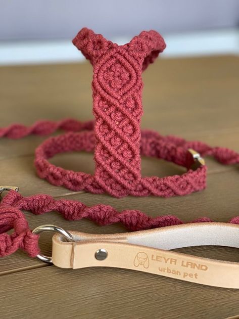 Macrame Dog Harness Diy, Macrame Dog Accessories, Macrame Dog Harness, Macrame Harness, Macrame Dog Collar Diy, Macrame Cat Collar, Macrame Pet Collar, Macrame Dog Leash, Macrame Pet