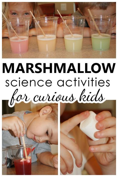 Marshmallow Science, Preschool Camping, Science Experience, Pre-k Science, Toddler Teacher, Kid Experiments, Easy Science Experiments, Curious Kids, Science Ideas