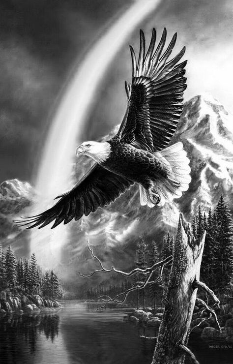 Charcoal Drawing Ideas, Bald Eagle Tattoos, Tattoo World, Traditional Tattoo Inspiration, Nature Tattoo Sleeve, Landscape Pencil Drawings, Animal Tattoo Ideas, Native Tattoos, Realistic Tattoo Sleeve