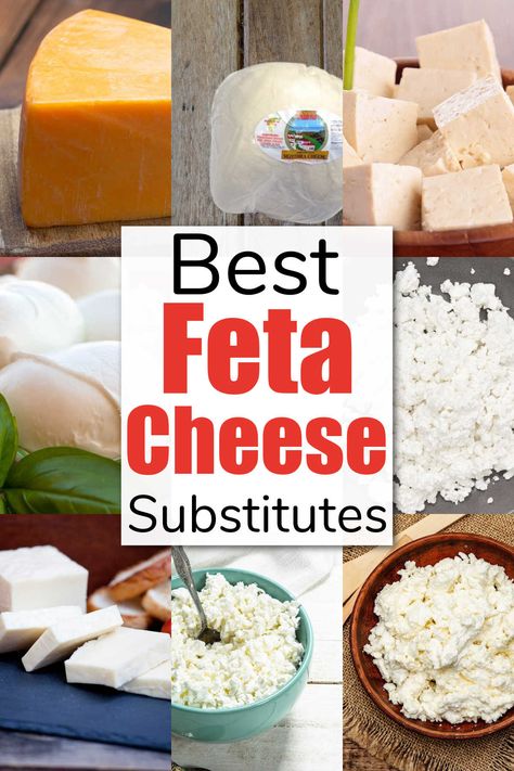 Feta Cheese Pizza, Mizithra Cheese, Four Cheese Pasta, Feta Cheese Recipes, Greek Cheese, Vegan Feta Cheese, Halloumi Salad, Cooking Substitutions, Vegan Substitutes