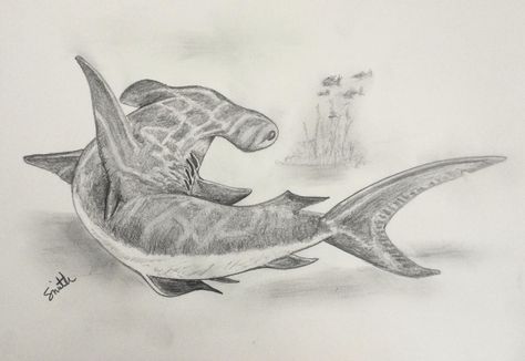 Hammerhead Shark Drawing, Shark Drawing, Hammer Head, Hammerhead Shark, Life Book, Sketchbook Art, Wildlife Art, Book Of Life, Sharks