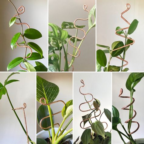 Plant Stick, Plant Sticks, Copper Plant, Wire Trellis, Plant Stakes, Plant Crafts, Trellis Plants, Patio Plants, Climbing Vines