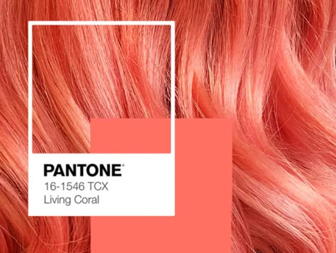 Coral Hair Color, Salmon Hair, Italy Hair, Hair And Makeup Studio, Pink And Orange Hair, Coral Pantone, Peach Hair Colors, Pantone Colour Of The Year, Salon Life