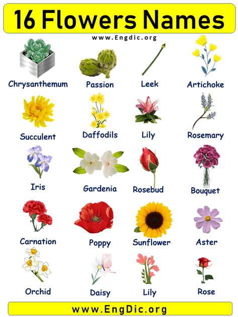 Unique Flower Names, Beautiful Flower Names, Pretty Flower Names, Flowers Name List, Shaded Garden, Names List, Most Popular Flowers, List Of Flowers, Beautiful Flowers Images