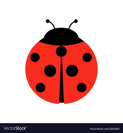 Lady Beetle, Flat Design, Graphic Illustration, Illustrator, Black And Red, Resolution, Design, Graphic Illustrations