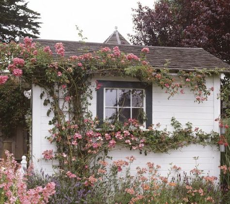 Paz Hippie, Cottage Aesthetic, Theme Nature, Cottage Core Aesthetic, Rare Flowers, Climbing Roses, Cottagecore Aesthetic, Cottage Homes, Pretty Places