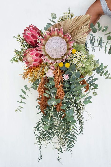 Colourful, native wildflower, cascading bridal bouquet featuring king protea & eucalyptus gum. Wild Wedding Bouquet, South African Flowers, Protea Bouquet, Australian Wildflowers, Violet Wedding, South African Weddings, Australian Flowers, Australian Native Flowers, Hunter Valley