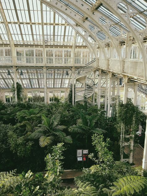 But did you understand? — Greenhouse and Palm House of Royal Botanical... Royal Greenhouse Aesthetic, Dark Greenhouse, Greenhouse Gardens, London Tumblr, Greenhouse Aesthetic, Allotment Garden, Victorian Greenhouse, Victorian Greenhouses, Project Architecture