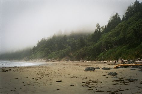 Pnw Beach Aesthetic, La Push Aesthetic, Oregon Ocean, Pacific Northwest Summer, La Push Washington, Pnw Beach, Pnw Photography, La Push Beach, Pnw Aesthetic