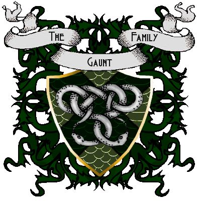 Gaunt Family, Merope Gaunt, Harry Potter Script, Harry Potter Rpg, Malfoy Family, History Background, Unorganized Idea, Wars Of The Roses, Lord Voldemort